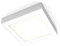 B.K.Licht - LED Deckenlampe mit warmweißer Lichtfarbe, 12 Watt, 900 Lumen, Deckenleuchte, LED Lampe, Wohnzimmerlampe, Schlafzimmerlampe, Küchenlampe, Deckenbeleuchtung, 17x17x3,2 cm, Weiß