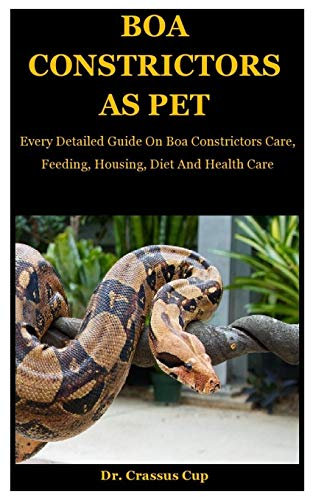 Boa Constrictors As Pet: Every Detailed Guide On Boa Constrictors Care, Feeding, Housing, Diet And Health Care