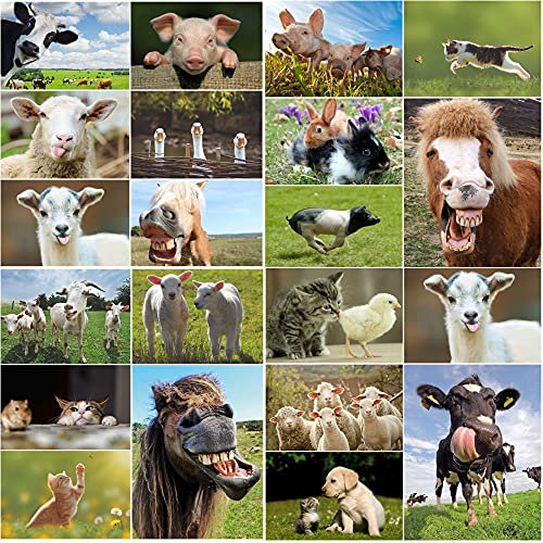 EDITION COLOBRI Tierpostkarten-20 er Set (LUSTIGE TIERE BAUERNHOF)