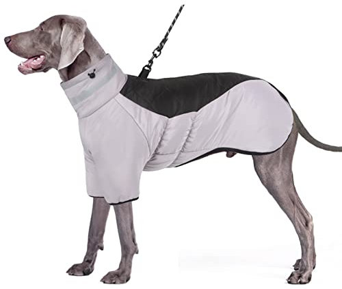 Oslueidy Warmer Hundemantel wasserdichte Hundebekleidung Reflektierende Winter Hundejacke Hund Outfit mit DIY Klettverschluss für mittlere große Hunde Schnauzer Labrador Golden Retriever