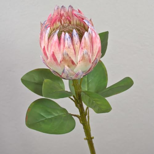 artplants.de Kunst Blumenzweig Königs-Protea TANIEKA, rosa-weiß, 65cm | Deko Protea