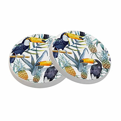 oFloral Bird Pineapple Coasters for Drinks Palm Tree Toucan Tropical Woods Cups Place Mats for Home Decor Set of 2, 4 Inch