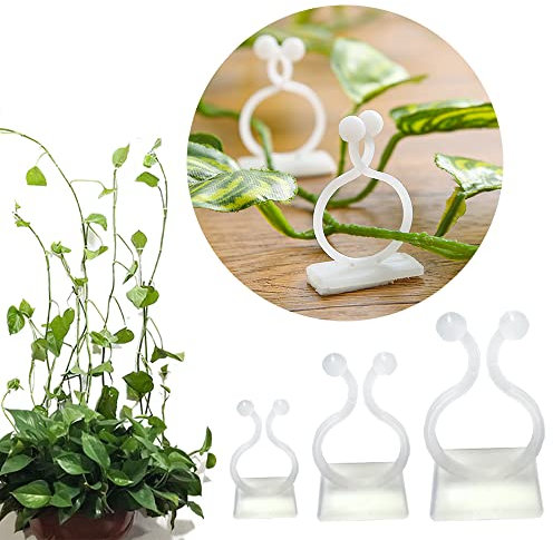 100PCS Plant Support 3 Size Wall Vine Plant Climbing Fixer Self-Adhesive Hook Vines Holder Invisible Traction Wall Sticky Fixture Clips Vegetable Fastening Clip