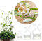 100PCS Plant Support 3 Size Wall Vine Plant Climbing Fixer Self-Adhesive Hook Vines Holder Invisible Traction Wall Sticky Fixture Clips Vegetable Fastening Clip