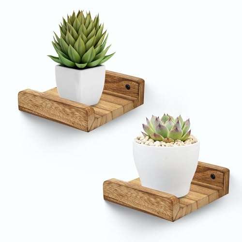 Small Wall Shelf,Small Floating Shelves for Wall,Mini Plants Shelf Wood | Picture Display Ledge with Lip,Speaker Shelf for Living Room Kitchen Bedroom,Office Decor,13CM,Set of 2,Carbonized Black
