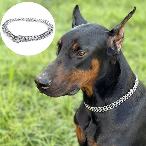 JYHY Collier étrangleur pour Chien Luxe Slip P Chaîne – pour Animal Domestique en Fer Chaîne Double rangée Cou Marche d'entraînement Small Medium Chiens de Grande Taille
