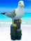 Pommerntraum ® | Gartendekoration Dekoration Wohndekoration Gartenfigur maritim Möwe Möve Vogel auf Poller (33 cm - XL)