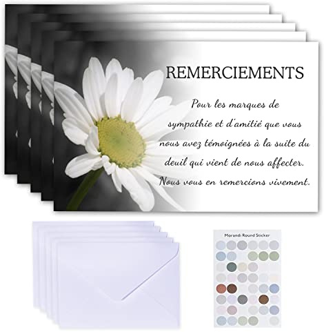 20 biglietti di ringraziamento con 20 buste bianche, motivo crisantemo bianco con testo e condoglianze (9 cm x 14 cm)