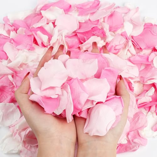 Songjum 240pcs Natural Valentines White and Pink Rose Petals Romantic Dried Rose Flower Petals Confetti for Wedding Anniversary Birthday Proposal Centerpieces Valentine's Day Decor (Pink and White)
