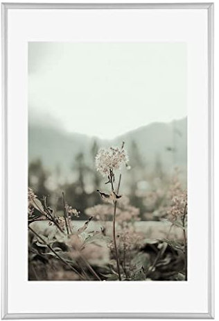 Bilderrahmen Bali Echt Aluminium 60x90 cm Metall Wechselrahmen Farbe Silber mit klarem Kunstglas