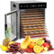 VALONDINO Deshidratador de Alimentos, 12 Banderas, Acero Inoxidable, Silver, 600W, 78-200°F, Control de Temperatura y Temporizador Digital