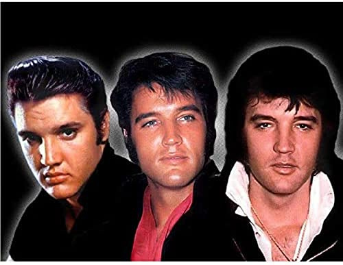 ERUZO 5D-Diamantmosaik zum Selbermachen, Elvis Presley, Mosaik-Diamantstickerei, Kreuzstich, 40 x 40 cm