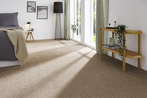 andiamo Teppichboden Izmir für Wohnzimmer und Kinderzimmer - Teppichboden Meterware zum Verlegen - Teppichbelag mit hoher Trittschalldämmung - weicher Teppichboden 400 x 550 cm Cappucino