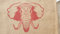 Kaffeesack SELTENE MOTIVE Jutesack Deko SACK DEKO mit ausgewählten Motiv (Elefant-Rot)