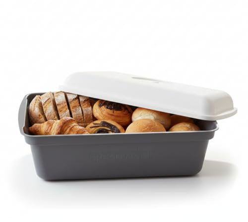 STARLYF Bread Magic – Intelligenter Brotkasten mit Innovativ Atmungsaktivem Membransystem | Hält Brot & Backwaren Länger Frisch & Knusprig | Verhindert Schimmelbildung durch Feuchtigkeitsregulierung