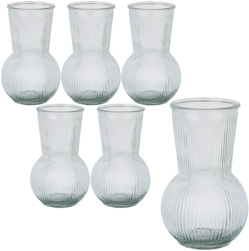 gouveo 6er Set Glasvasen Vertical 180 transparent - Geriffelte Blumenvasen aus Glas - Zeitlose Deko-Vasen für Zuhause, Hochzeiten, Geburtstage, Feste (VV180T)