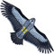 Touch the sky 1.8m Large Eagle Kite for Kids and Adults, Easy to Fly, Exquisite Fabrics and Unique Structure Design, Excellent Outdoor Games and Activity Toys, Suitable for Beginners.
