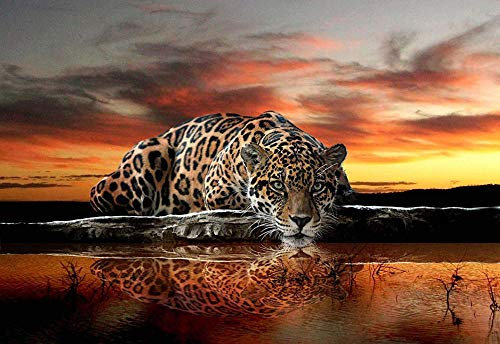 5000 pieces Jigsaw Puzzles for Adults Puzzle Sets for Family Wooden puzzle Leoparden-Trinkwasser Jigsaw Puzzle and Educational Toy for boy and Girls Over 5 Years - Excellent Birthday Gift