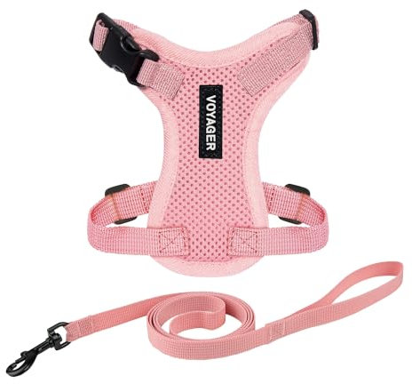 Voyager Step-in Lock Katzengeschirr und reflektierende Katzenleine mit Neoprengriff by Best Pet Supplies - Unterstützt kleine, mittelgroße und große Katzenrassen, Rosa, size XXXS - 1,5 m