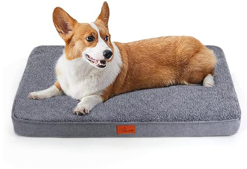 CALIYO Hundebett, Hundekissen Kleine Hunde-76×51×7.6cm, Hundematte Waschbar, Weiche Hundematte aus Schwamm, Dog Bed für Kleine Hunde(Dunkelgrau)