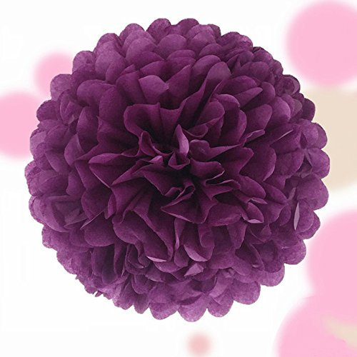 PomPoms und Wabenbälle - Wunderschöne Dekoration - 20, 25, 30 cm - Hochwertige Qualität! (PomPom 25 cm - Pflaume)