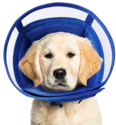 Hjyokuso Collare Elisabettiano Cane, Collare Elisabettiano Gatto, Coni Collare Protettivo Ferite Recupero Guarigione Postoperatorio Collare Anti Morso O Leccato Dopo Intervento Chirurgico -Blu L