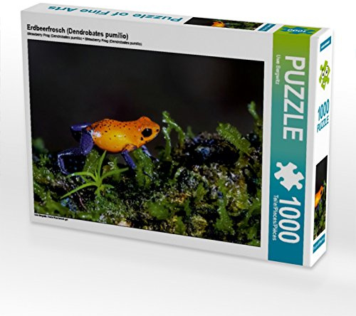 CALVENDO Puzzle Erdbeerfrosch (Dendrobates pumilio) | 1000 Teile Lege-Größe 64 x 48 cm Foto-Puzzle für glückliche Stunden