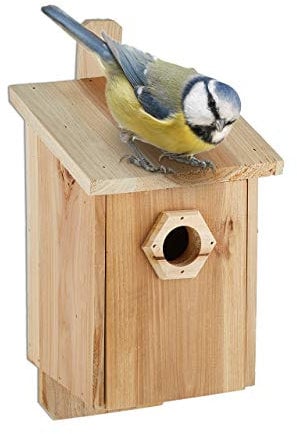 Relaxdays Nistkasten für Vögel, 28 mm Einflugloch, Vogelhaus zum Aufhängen, unbehandeltes Holz, HBT: 32x16x17 cm, Natur