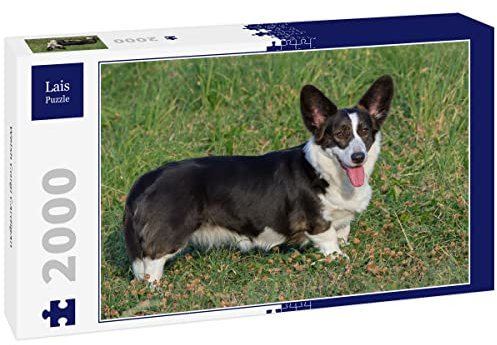 Lais Jigsaw Puzzle Welsh Corgi Cardigan 2000 pieces