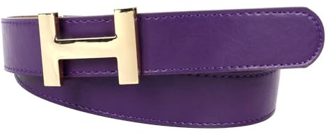 Zakatte • Damen Gürtel aus Kunstleder mit H-Schnalle Hüftgürtel Taillengürtel Damengürtel BS058 (Lila-Gold, 100 cm)