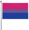 Bandera del Orgullo Bisexual de 90 x 150 cm, decoración de doble cara para exteriores e interiores.
