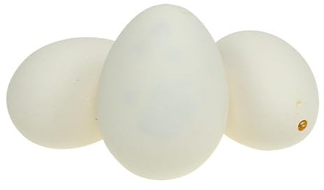 Viana Gänseeier Deko 8cm, Weiße Deko-Eier, Ostereier zum Basteln, 10 Stück