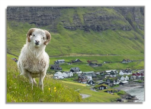 Wallario selbstklebendes Poster - Wildes Schaf in der Natur, Aufkleber in Premiumqualität, Klebefolie Größe: 70 x 100 cm (Riesenposter)