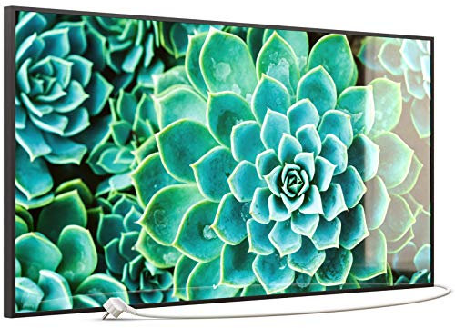 STEINFELD Glas Bild Infrarotheizung 750 Watt – mit Thermostat