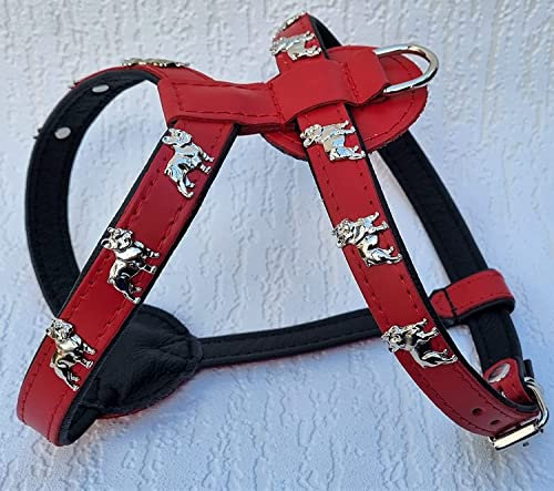 Bully Französische Bulldogge French Bulldog Frenchie Geschirr Brustgeschirr Echt Leder - 3 Verschiedene Größen ROT - Schwarz (2. Brustkorb 51-57cm/62cm)
