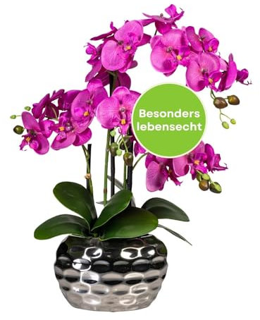 CREATIV green stilvolle Phalaenopsis Kunstorchidee 55cm in violett I künstliche Orchideen wie echt mit Vase in Silber & naturgetreuen Blüten I Pflegeleichte & täuschend echte Kunstblumen