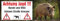 Wodtke-Werbetechnik Jagd Sau Banner 200 x 70 cm braun Polyester Vinyl