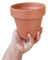 Maceta Compacta de Barro Ideal para Cactus Suculentas y Plantas Aromáticas