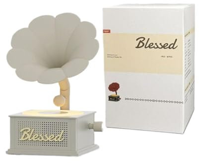 Mini altoparlanti Bluetooth di ricarica portatile retro record stereo box player suono N8L1 grammofono