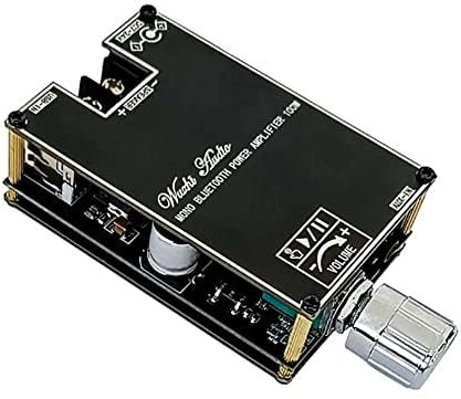 ZK-1001B Mono 100W Audio Amplifier Module with Box Function