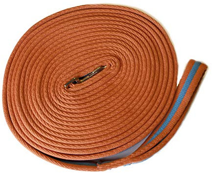 Rhinegold 30 DE Gepolsterter Longierzügel, Mandarine/Türkis, Einzelbett