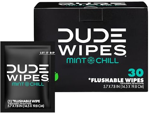 Lingettes jetables - Lingettes humides emballées individuellement pour le voyage - Parfum menthe fraîche avec vitamine E et aloès - 30 pièces en déplacement