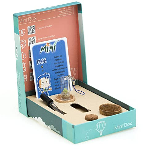 Mini Cactus Veri, Minì Fun Floe Mini Pianta Grassa da Interno con Kit Minì Box, Sottovaso in Legno, Pipetta per l’acqua, Terriccio, Set per la Cura del Cactus Specie Sedum Burrito