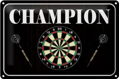 Schild Blech 30x20cm - Made in Germany - Spruch Darts Champion Metall Deko Blechschild