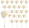 QUARKZMAN 24 Stück Beige Rosen Ansteckblumen Knopflöcher Taschenanstecker Pins für Hochzeitszeremonie Jubiläum Abschlussball Formelles Abendessen Party