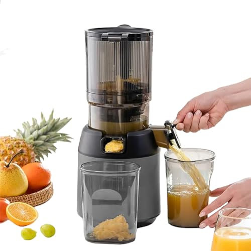 Cold Press Masticating Juicer with Feeding Chute - 300W Professional Fruit and Vegetable Slow Juicer, Portable Pomace Separator Fruit Juicer
