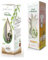 GARDEN ISLAND - PACK DUO (1 PLANT DE VANILLE BOURBON + 1 PLANT D’ANANAS VICTORIA) in vitro, kit exclusif, prêt à pousser et à cultiver chez soi, à offrir ou pour se faire plaisir
