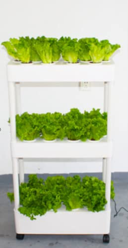 MEIVIYA Hydroponisches Anbausystem Indoor Home Used Hydroponic Tower Growing System Grow Planter Box 3Layers Aeroponic System Indoor Vertical Garden Tower with Led Light(3layers with Light)