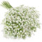 N&T NIETING Schleierkraut Künstliche Blumen, 15 Stück Schleierkraut Pflanzen Gypsophila Blumen für Hochzeit Brautsträuße Zuhause Basteln und Dekoration(Weiß)