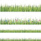 Pinnwand-Bordüre aus grünem Gras, 15 m, für Klassenzimmer, Frühlingsblumen-Motiv, Bordüre für Pinnwand, Wanddekoration, Heim- und Schuldekorationen